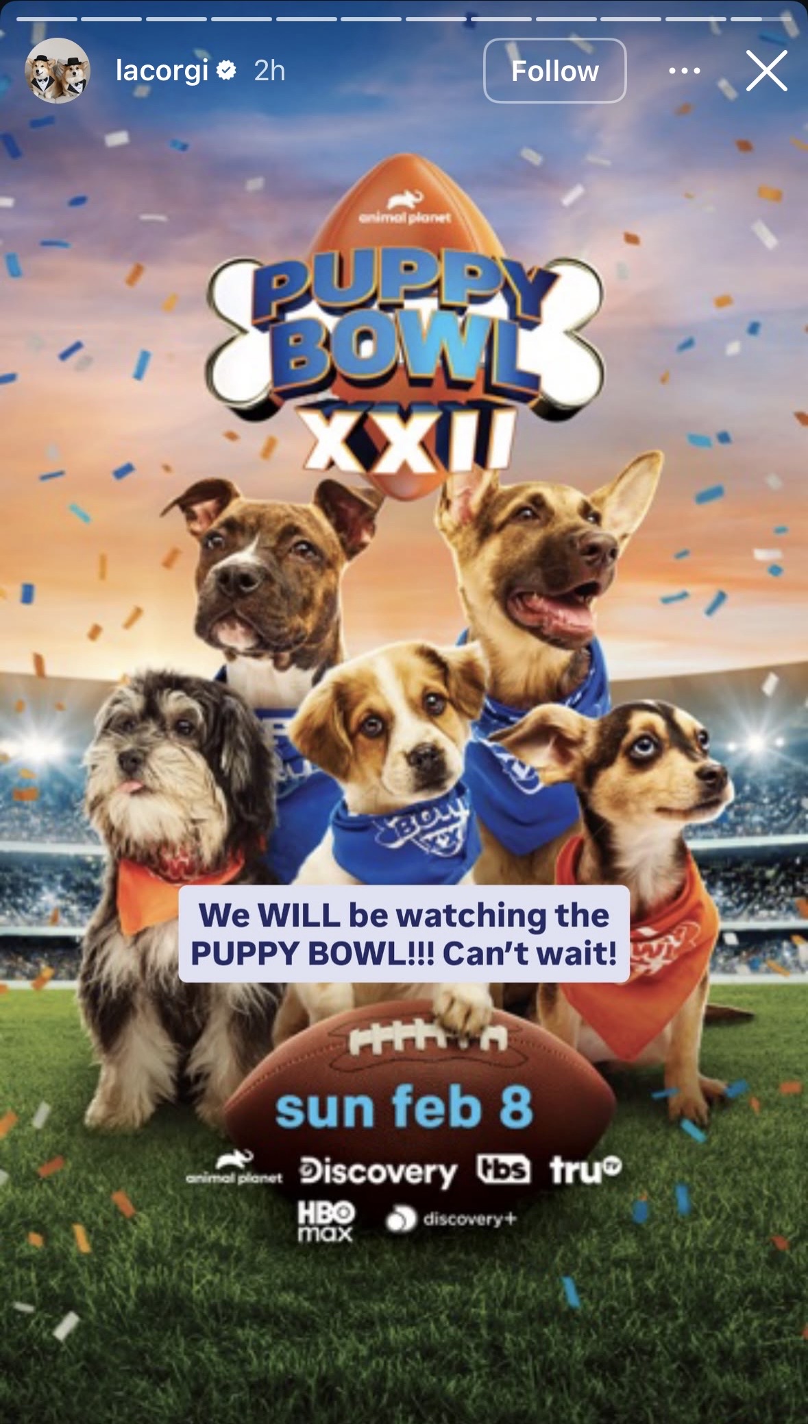 La Corgi Instagram Story (pre - Event)